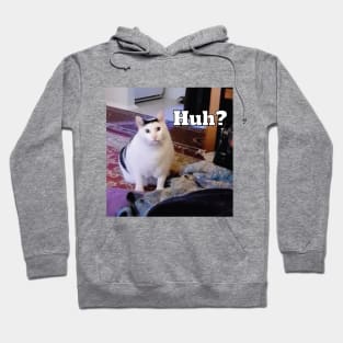 Huh Cat Meme Hoodie